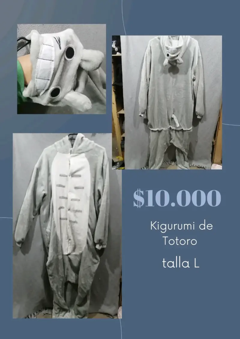 Kigurumi de Totoro