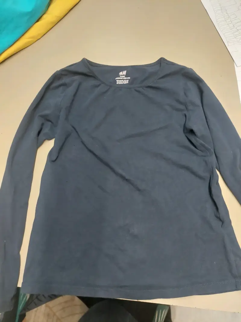 Polera manga larga azul Talla 8