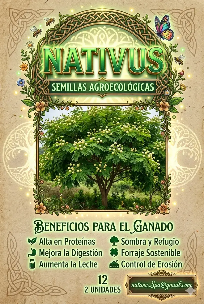 Semillas de leucaena + regálo Nativus