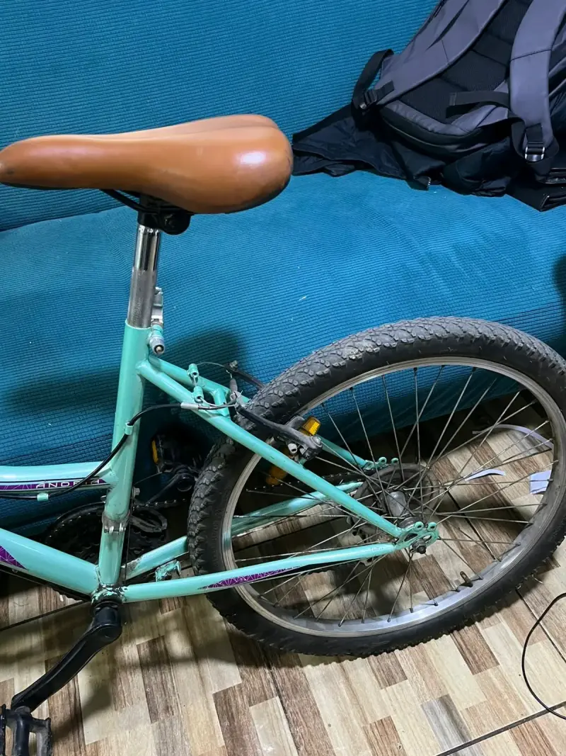 Bicicleta Besatti - 3