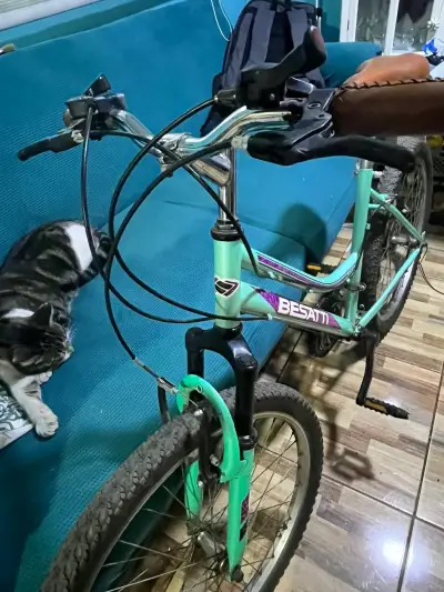 Bicicleta Besatti - miniatura 4