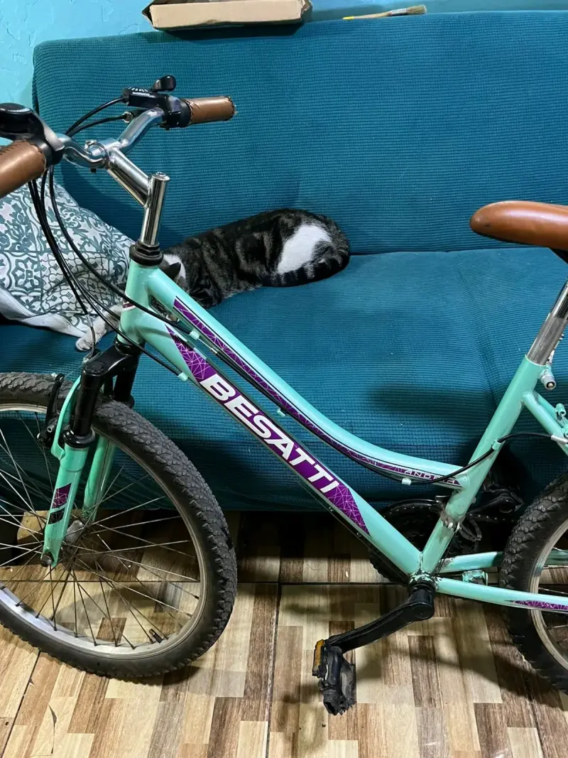 Bicicleta Besatti - 5