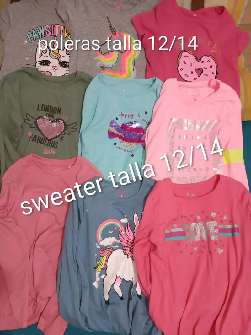 Pack de poleras y sweater 12/14