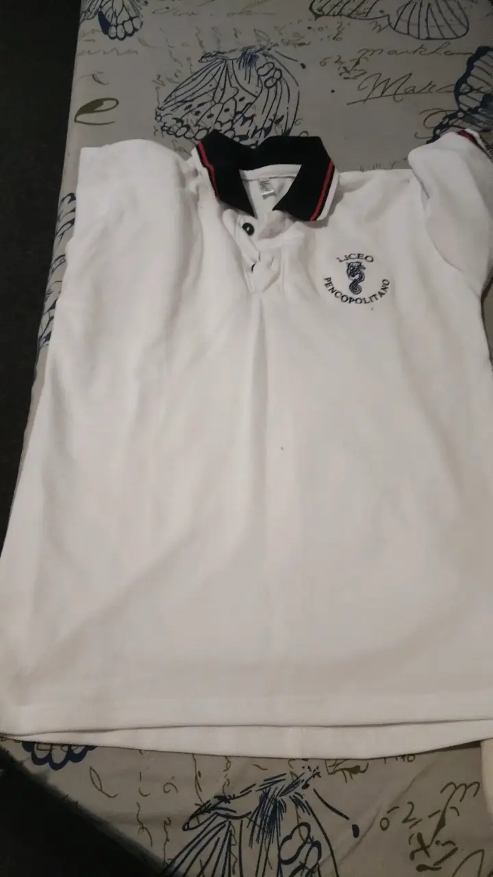 Polera escolar blanca