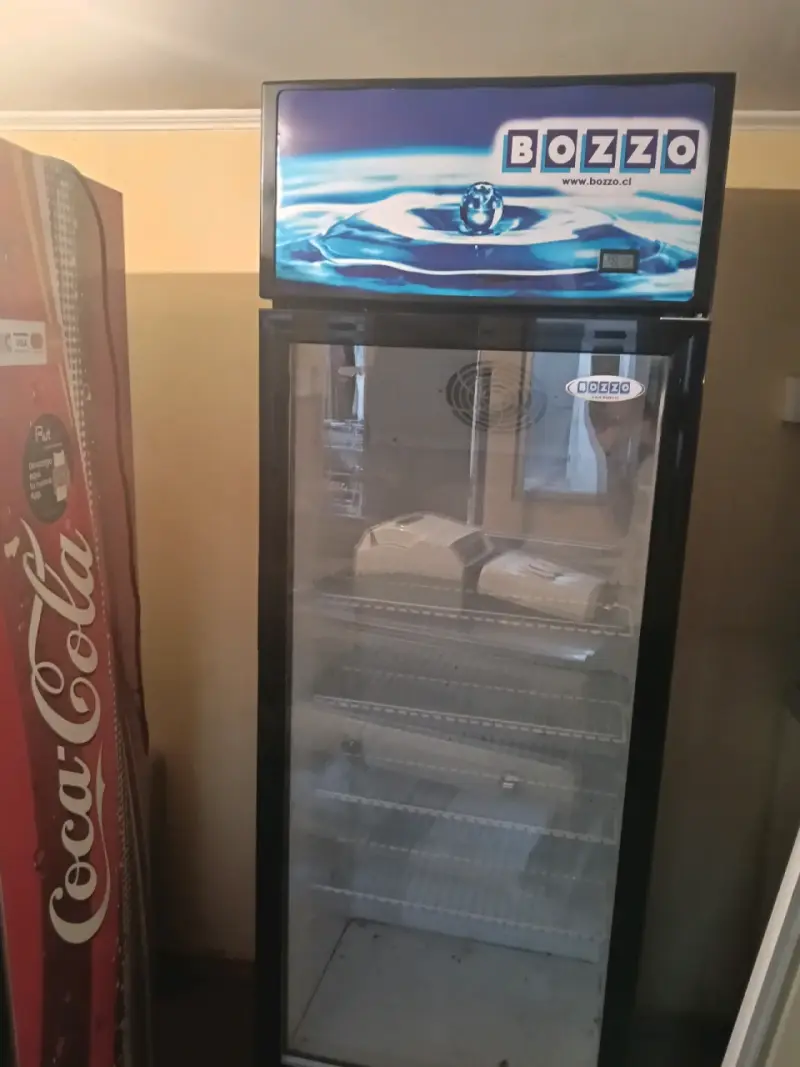 Enfriador exhibidor Bozzo - 1
