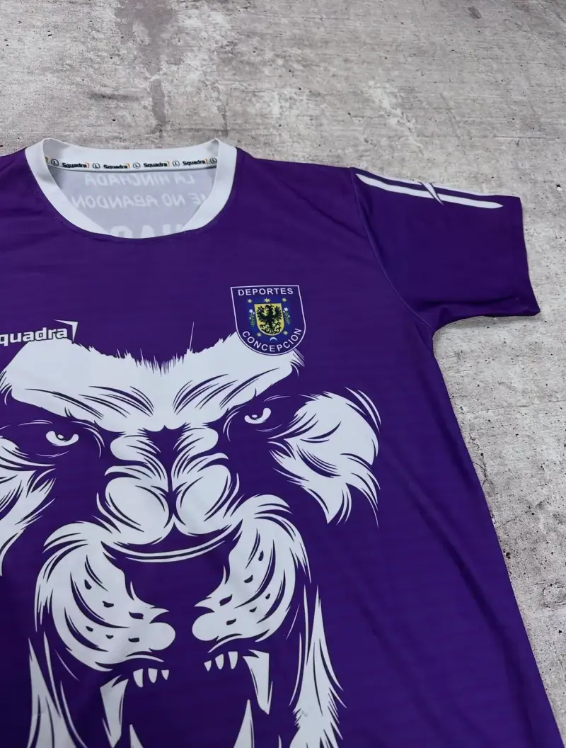 Camiseta Deportes Concepcion - 2