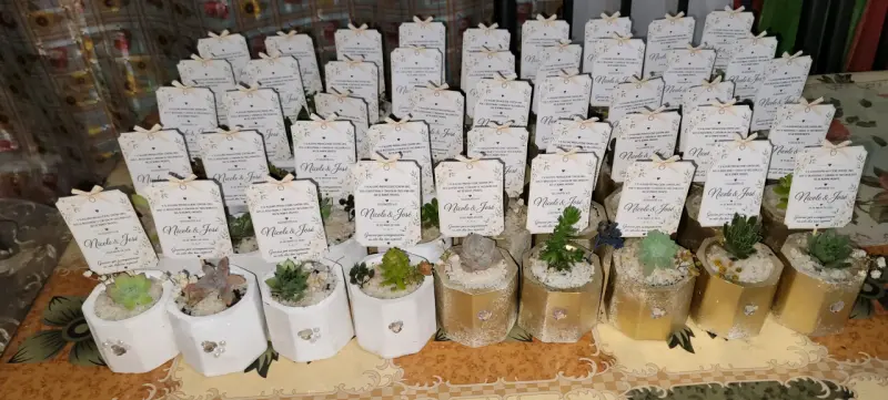 Souvenirs con suculentas en maceta - 1