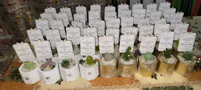 Souvenirs con suculentas en maceta - miniatura 1