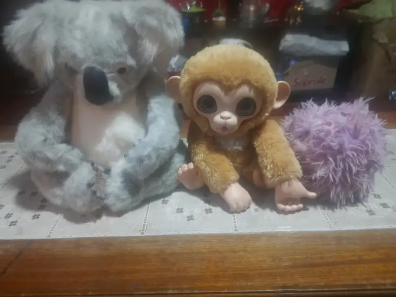 Set de Furreal  koala, mono y gato