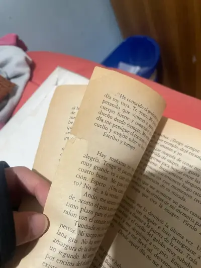 Libro 'La Última Niebla, El arbol, Lo Secreto’ - miniatura 3