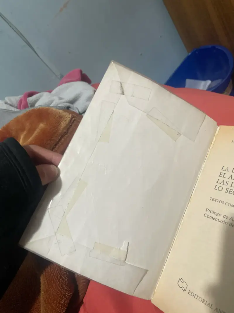 Libro 'La Última Niebla, El arbol, Lo Secreto’ - 5