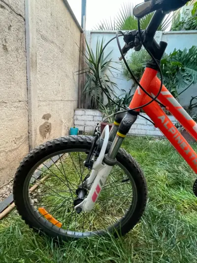 Bicicleta infantil Alpinextrem - miniatura 1
