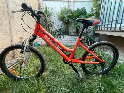 Bicicleta infantil Alpinextrem - miniatura 2