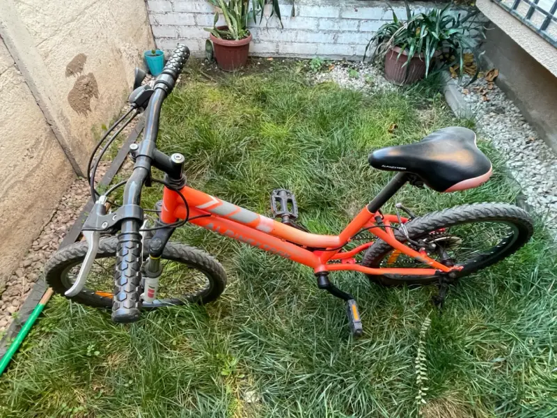 Bicicleta infantil Alpinextrem - 4