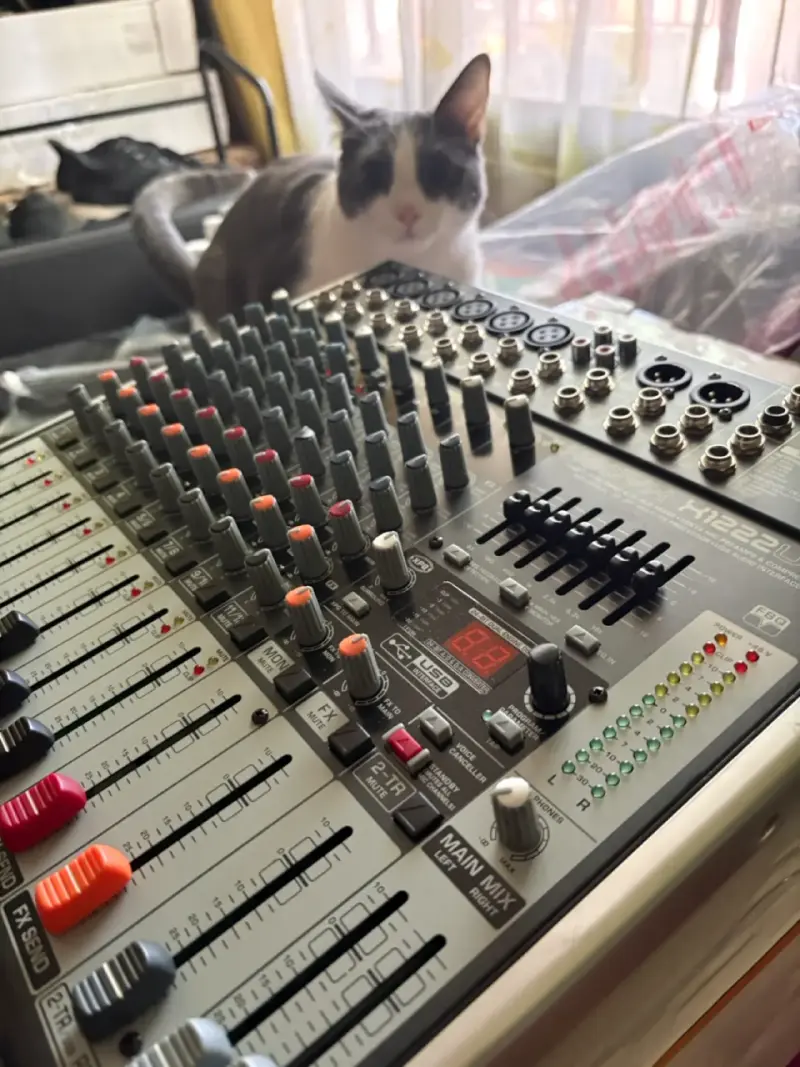 Consola Digital Beringuer Xenyx 1222 - 1