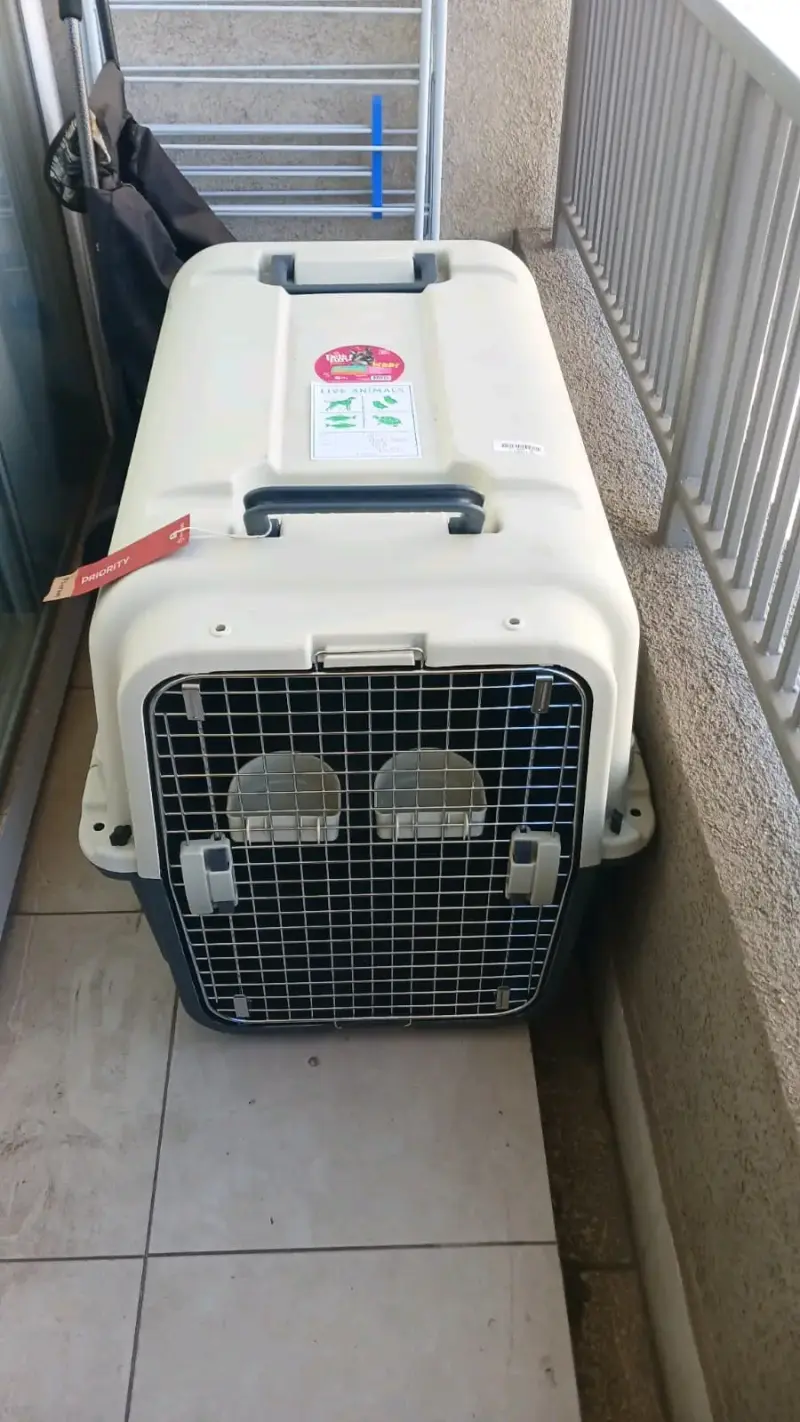 Caja transportadora Pet's Fun XL - 2