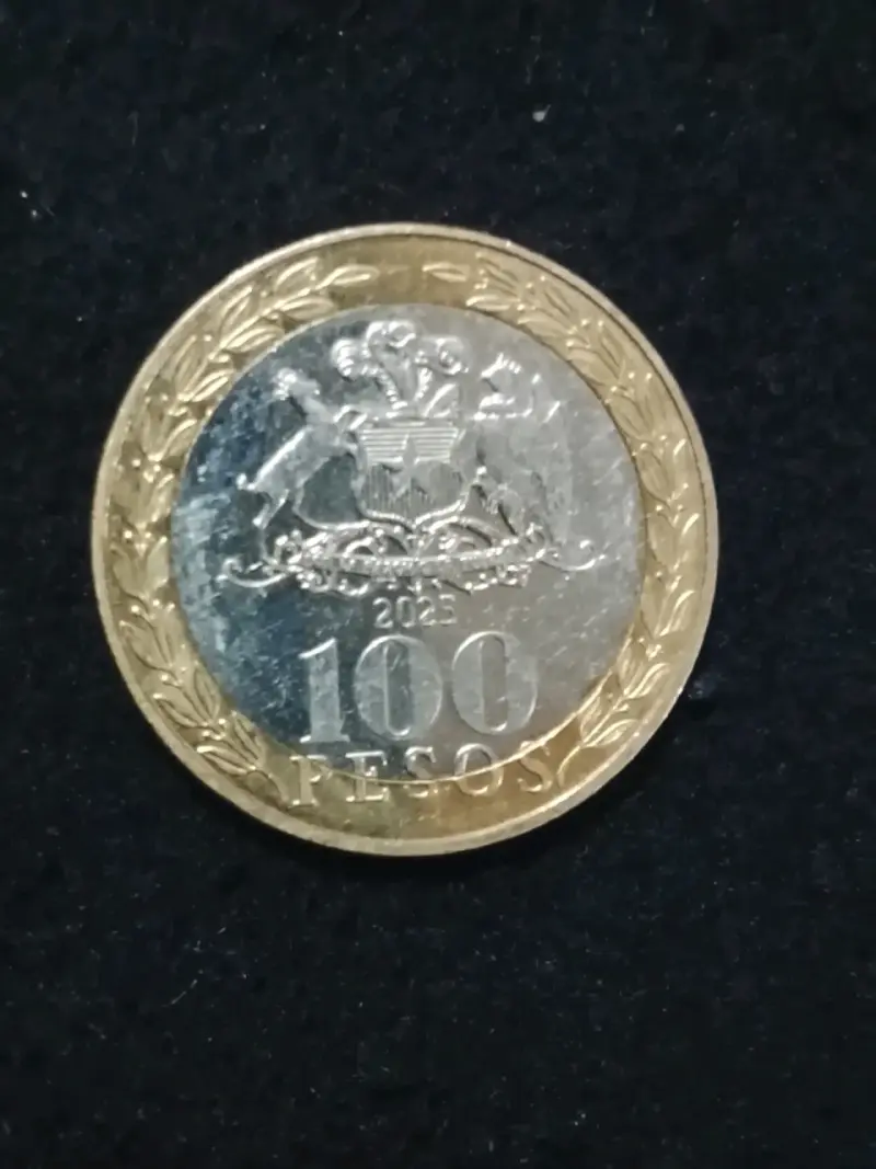 Moneda conmemorativa 100 años - 2