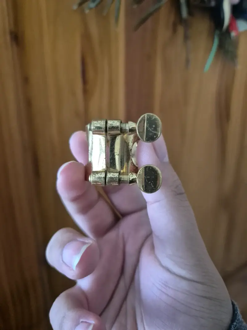 Saxofón alto dorado etinger con case rígido - 6