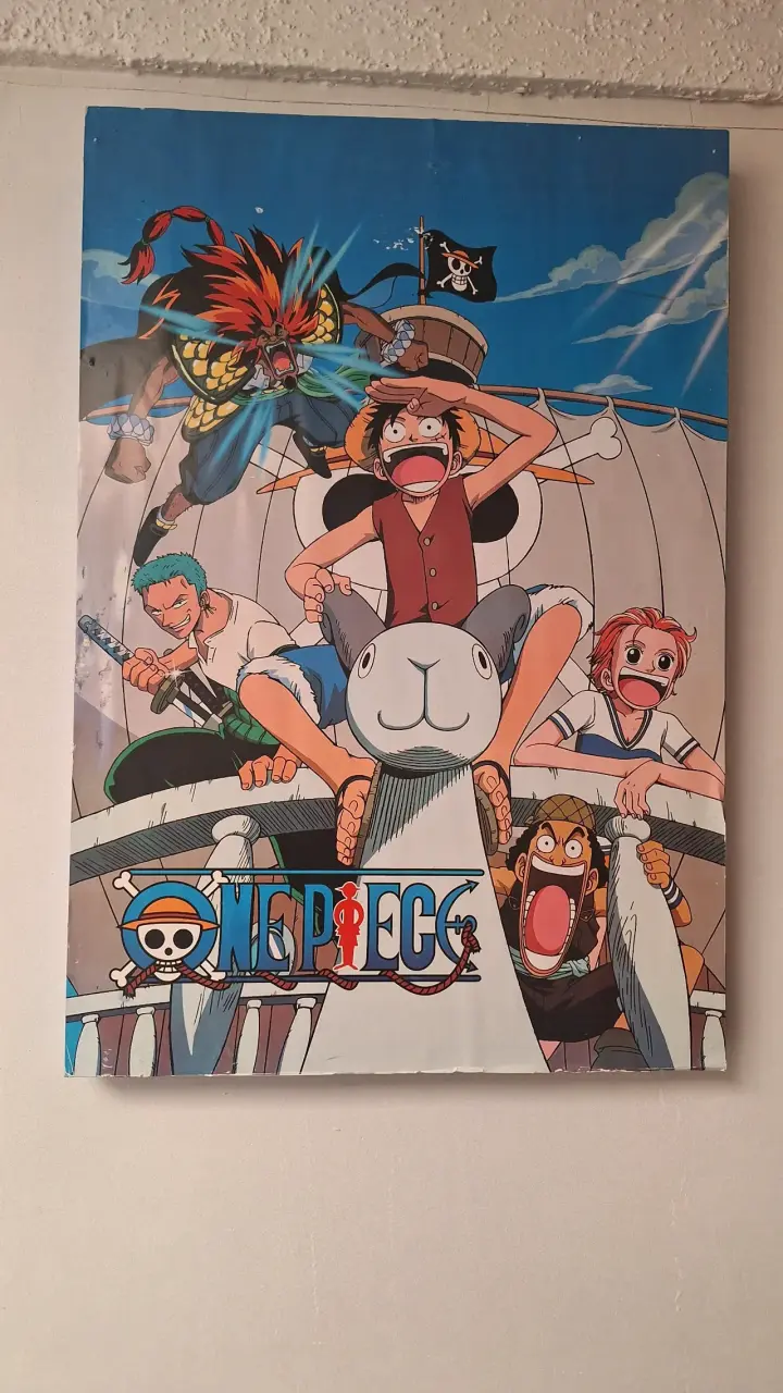 Póster de One Piece - 2