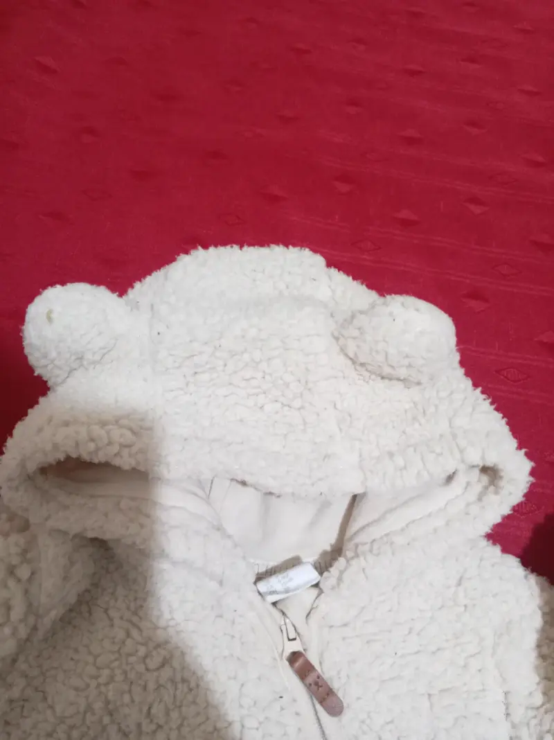 Corderito bebé con orejas - 3