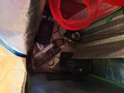 Carpa de cultivo interior - miniatura 3