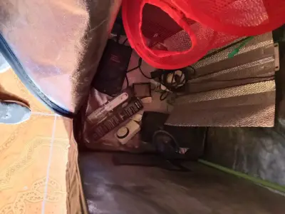 Carpa de cultivo interior - miniatura 5