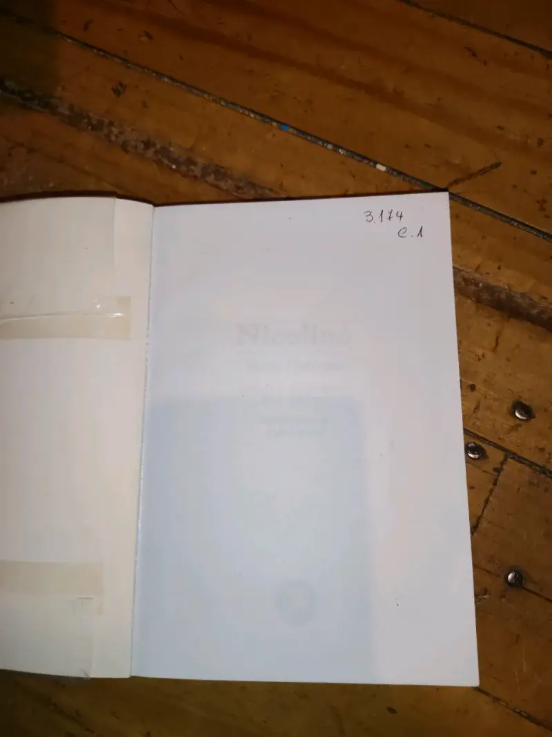 Libro Nicolino de María Marcone - 3