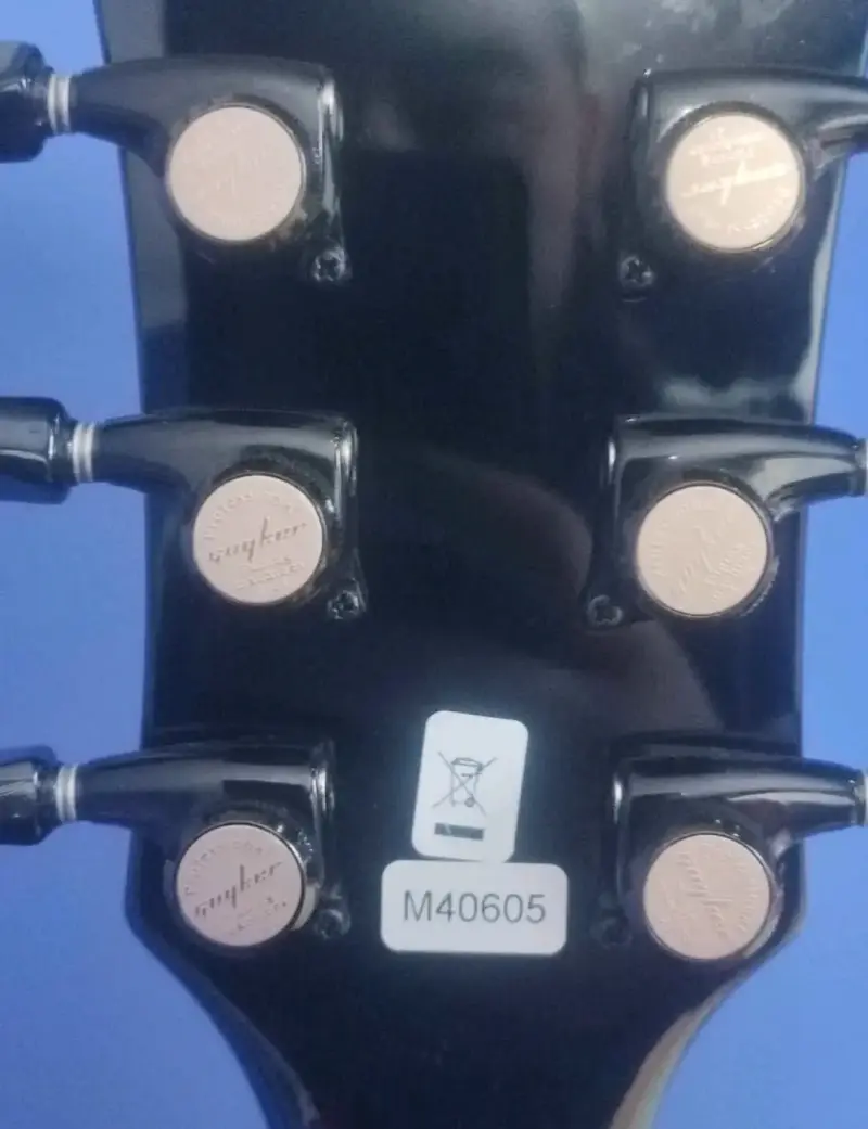 Guitarra eléctrica Freeman SG50 - 3