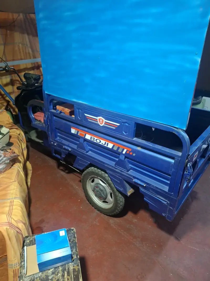 Motocarro azul BOGI - 1