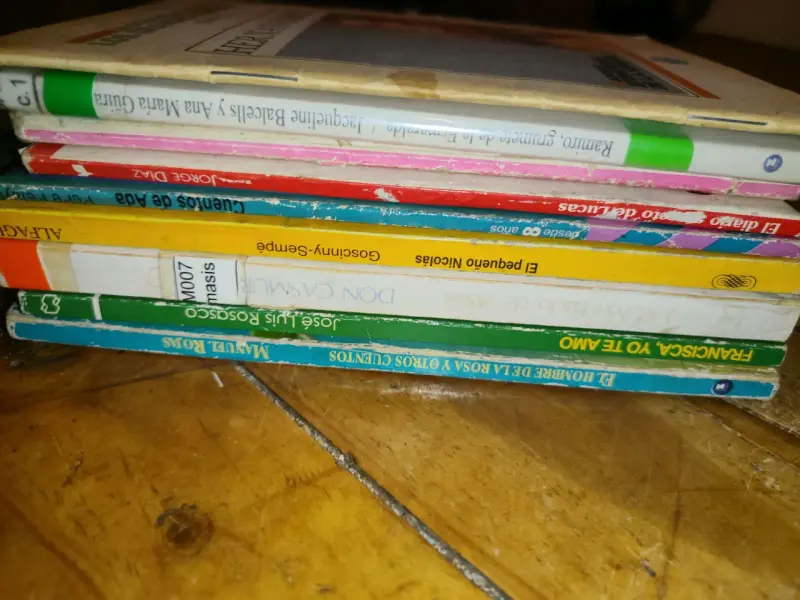 Lote de libros variados