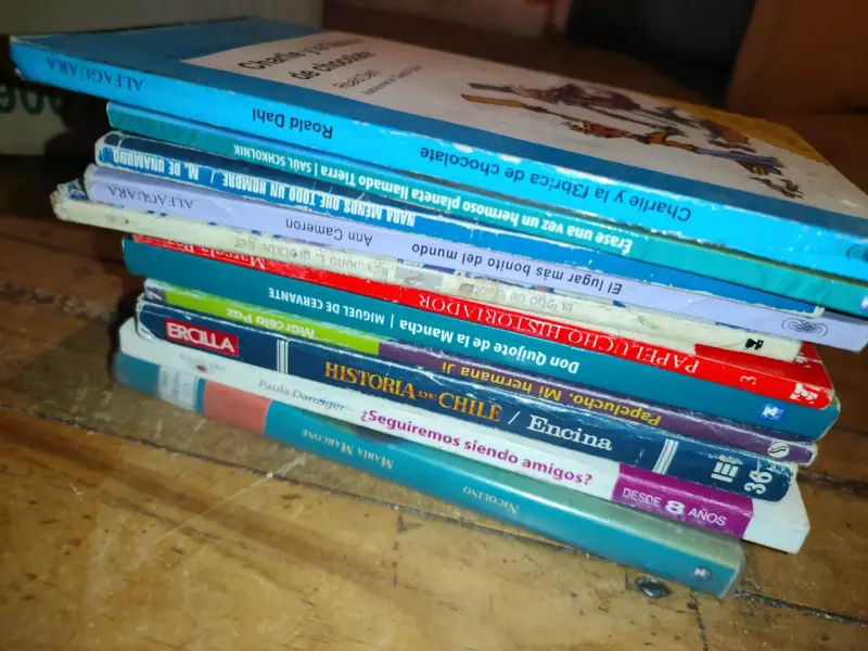 Lote de libros variados