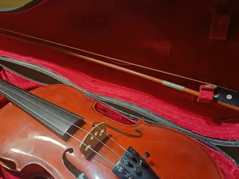 Violín Hofmann 4/4 con estuche - 2