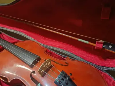 Violín Hofmann 4/4 con estuche - miniatura 2