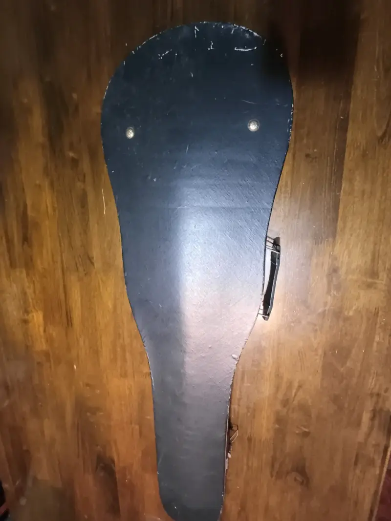 Violín Hofmann 4/4 con estuche - 6