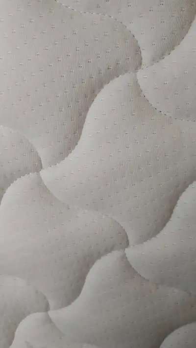 Colchón ortopédico beige - miniatura 1