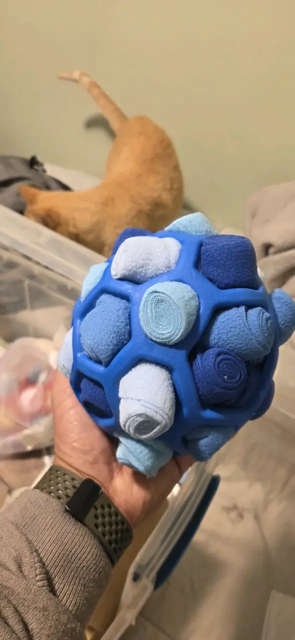 Juguete de pelota para mascota - 1