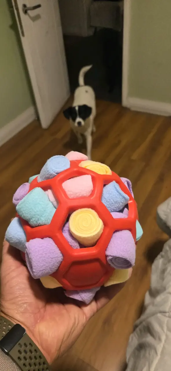 Juguete de pelota para mascota - 2