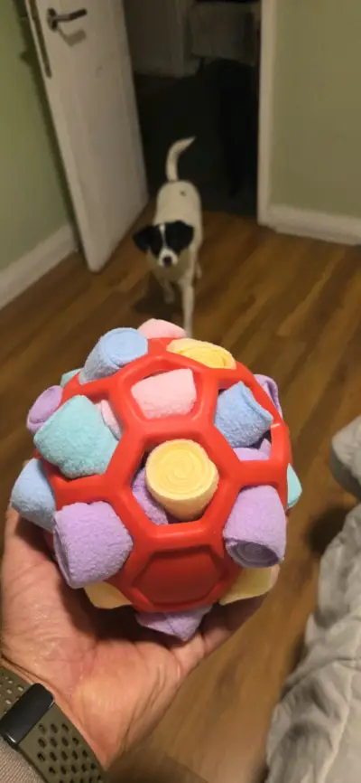 Juguete de pelota para mascota - miniatura 2