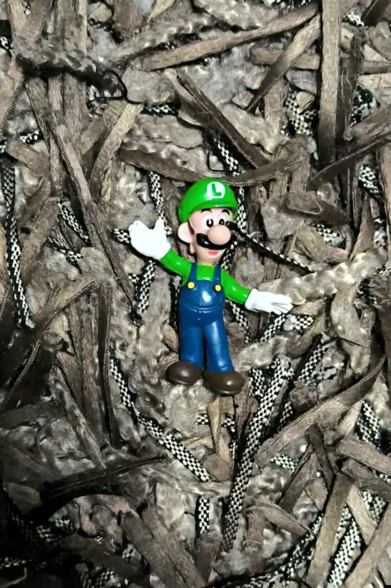 Figura de acci贸n Luigi 2008 - 1