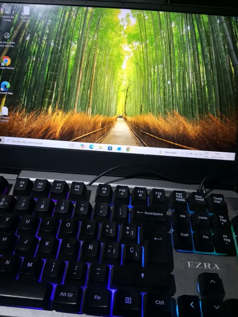 Laptop Lenovo - 4