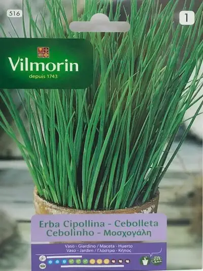 Semillas de hortalizas Vilmorin - miniatura 1