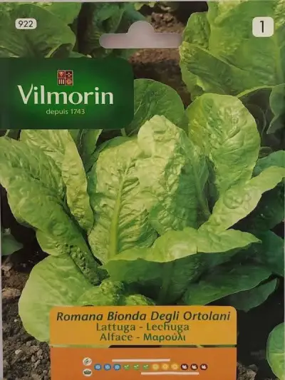 Semillas de hortalizas Vilmorin - miniatura 3