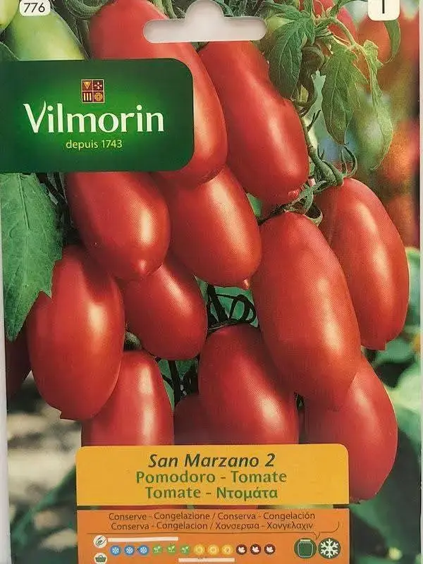 Semillas de hortalizas Vilmorin - 5