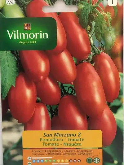 Semillas de hortalizas Vilmorin - miniatura 5