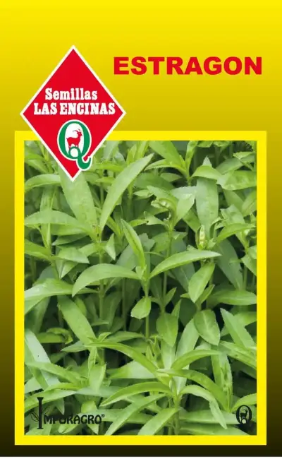 Semillas de hortalizas Vilmorin - miniatura 6