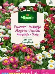 Semillas de flores gran surtido - miniatura 1