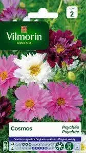 Semillas de flores gran surtido - miniatura 3