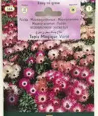 Semillas de flores gran surtido - miniatura 5
