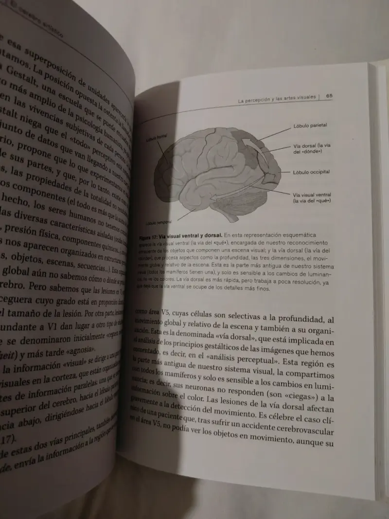 Libro El Cerebro Artístico - 3