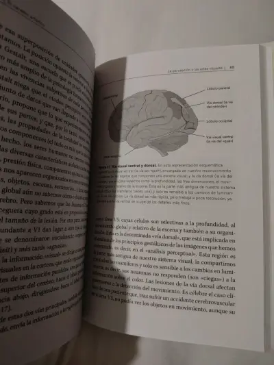 Libro El Cerebro Artístico - miniatura 3